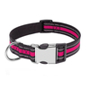 1 Inch Width Reflective Nylon Pet Collar with Engraved Logo Buckle