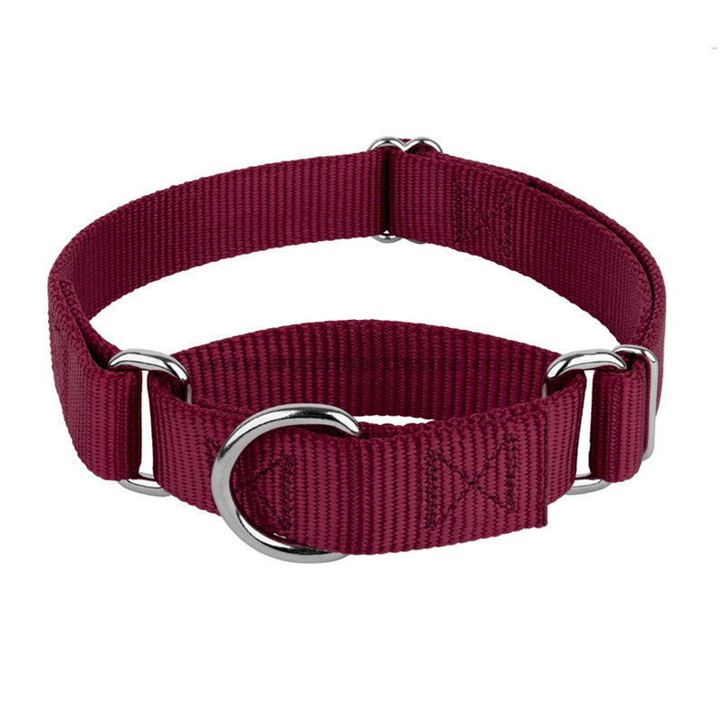 Pet Training Supplies Nylon Martingale Pet Collar