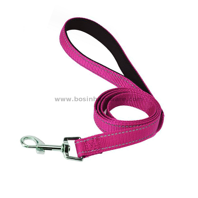 20mm Width Diverse Colors Quality Dog Leash
