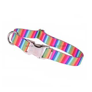 Unique Rainbow Color Adjustable Metal Buckle Dog Collar