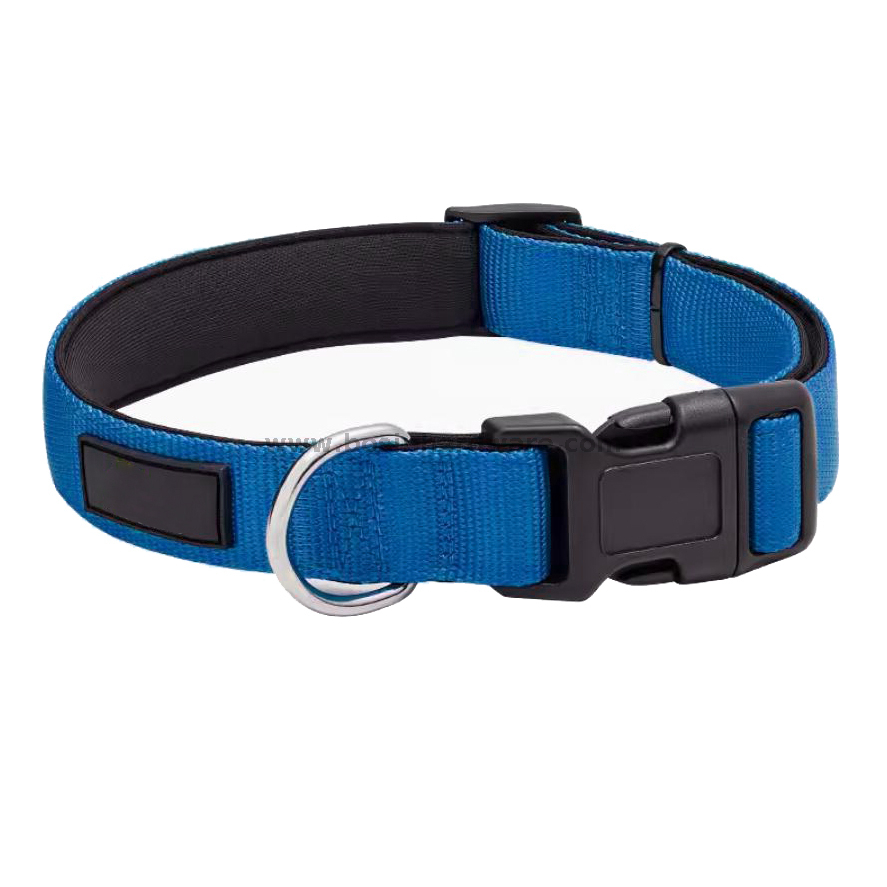 2.5cm Width Custom Logo Training Dog Collar 