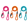 Sturdy Fashion Multicolor Training Dog Slip Rope Leash