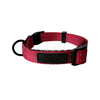 2.5cm Width Custom Logo Training Dog Collar 