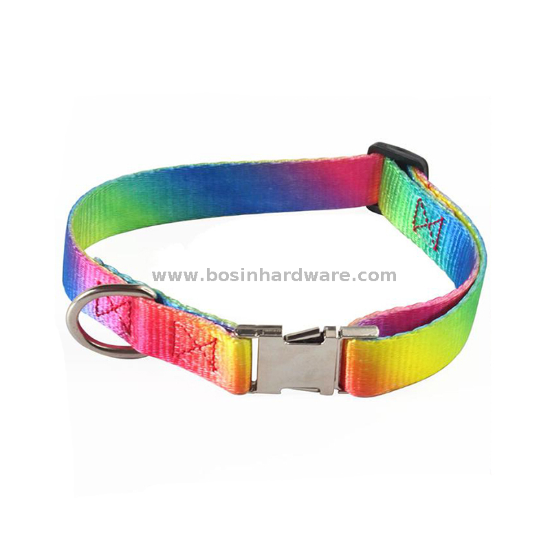 Rainbow Painting Dog Leash Collar for Training